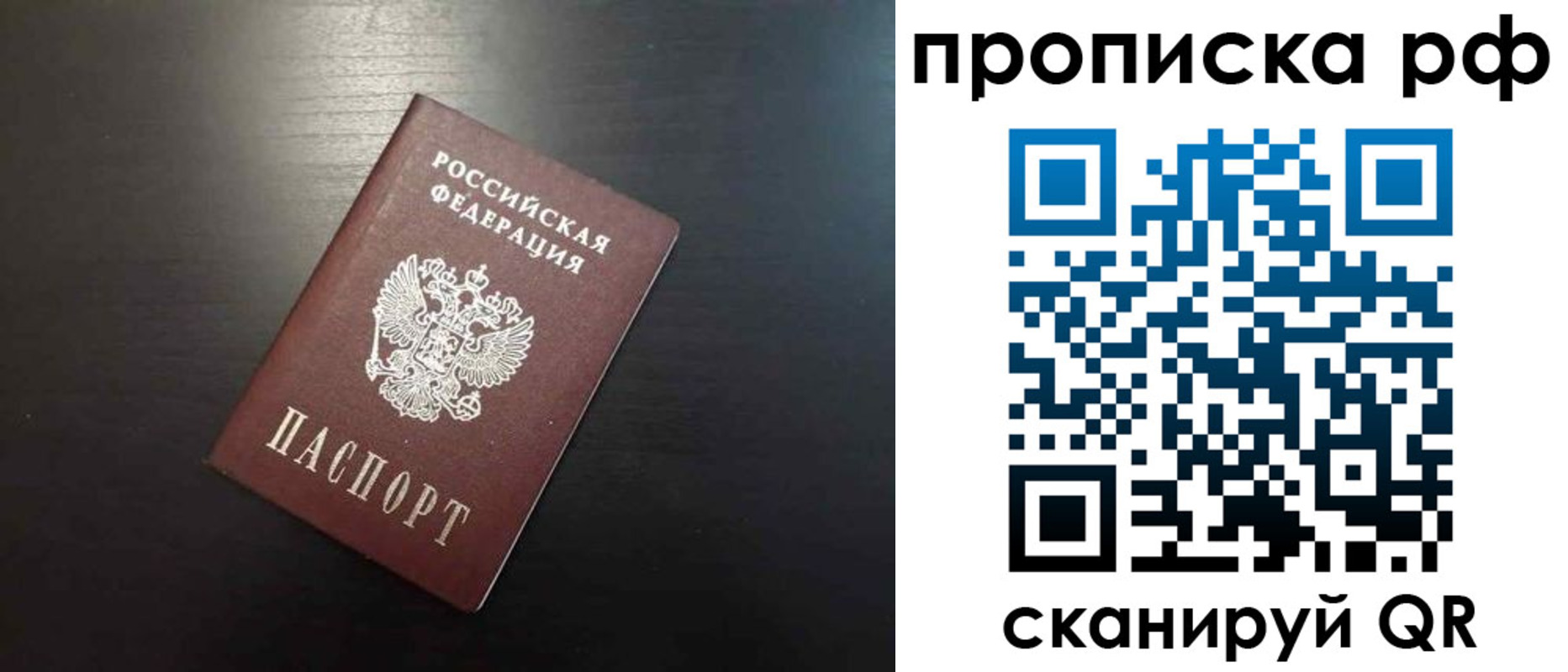 временная регистрация недорого в Алексеевке