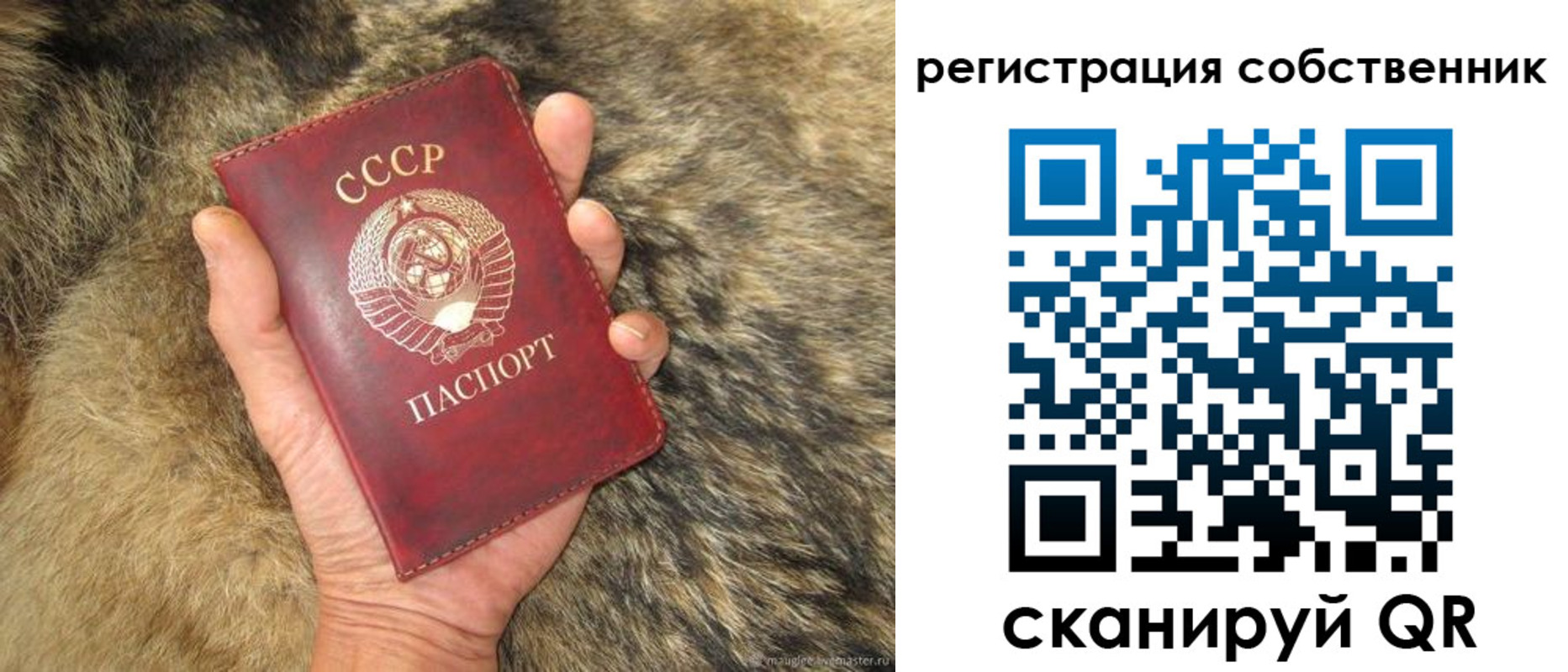 прописка 2025 в Алексеевке